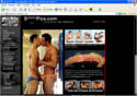 Click to visit Speedo Pics