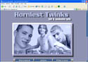 Click to visit Mega Twinks