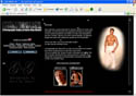 Click to visit Malemodel