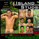 Island studs